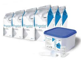 DENTSPLY BLUEPRINT ALJINAT